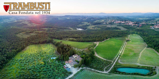 Trambusti Toscana: vinuri premiate într-o colecție nouă pe UrbanBottles