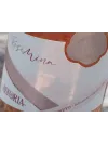 Astoria Rosé Mina Veneto IGT 0.75L