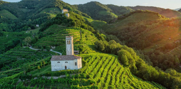 Cartizze Arzana DOCG – Astoria Wines: ghid, note de degustare & pairing