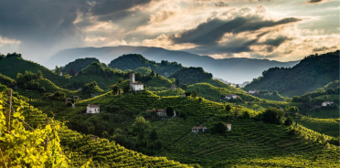 De ce să alegi Prosecco? Ghidul complet pentru ocazii speciale