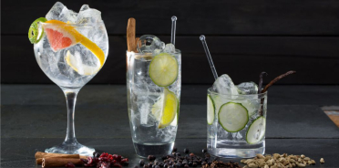 Cum să alegi cel mai bun gin și cum îl servești corect