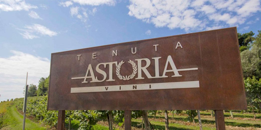 Astoria Wines – Prosecco din Veneto: stiluri, servire și pairing